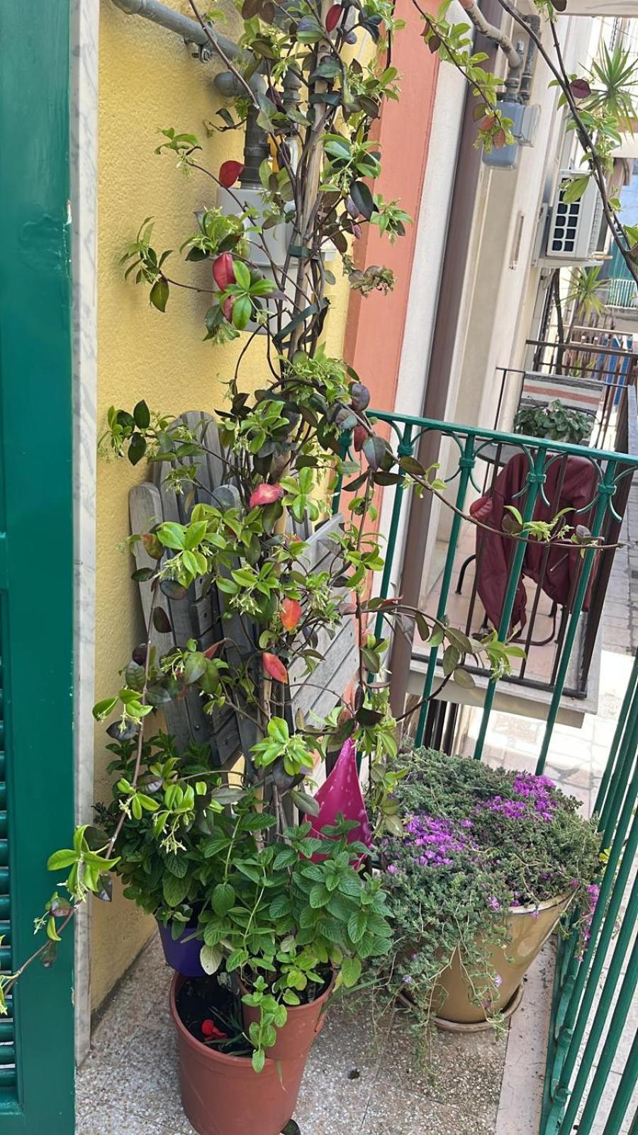 La Casa di Nonna Sisina Villa Mola di Bari Eksteriør billede