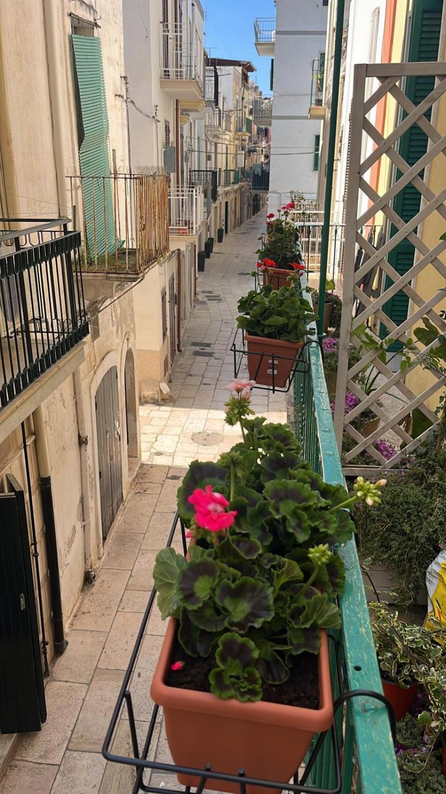 La Casa di Nonna Sisina Villa Mola di Bari Eksteriør billede